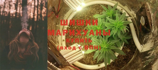 ALPHA-PVP Новозыбков