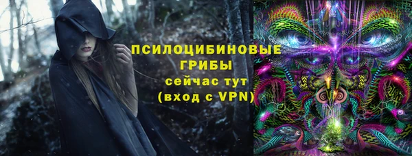 ПСИЛОЦИБИНОВЫЕ ГРИБЫ Алексеевка