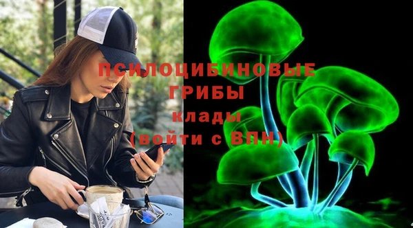 соль курить ск Алзамай