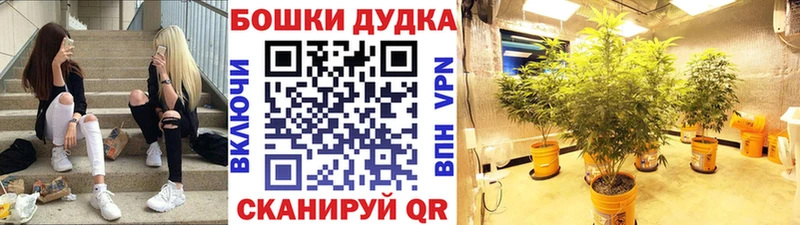 OMG ONION  Карабулак  Бошки Шишки план 